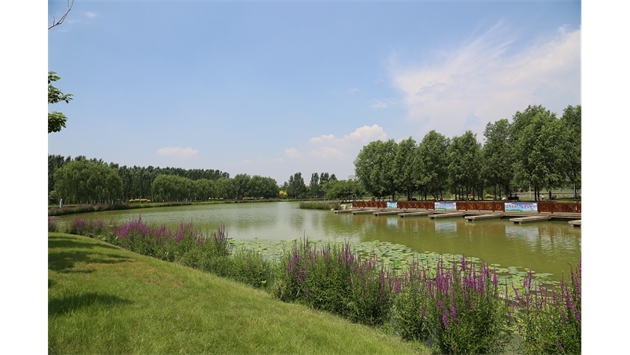 標(biāo)題：包頭市民公園
瀏覽次數(shù)：1598
發(fā)表時(shí)間：2020-10-16