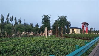 標(biāo)題：張家口經(jīng)開區(qū)腰站堡飲用水源地生態(tài)涵養(yǎng)綠化
瀏覽次數(shù)：2577
發(fā)表時間：2020-10-16