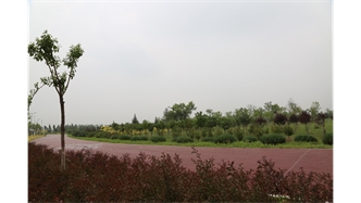 標(biāo)題：大青山南坡生態(tài)修復(fù)
瀏覽次數(shù)：2170
發(fā)表時間：2020-10-16