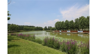 標(biāo)題：包頭市民公園
瀏覽次數(shù)：1596
發(fā)表時(shí)間：2020-10-16