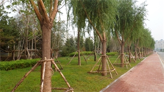 標(biāo)題：通遼市勝利北路道路景觀綠化
瀏覽次數(shù)：1495
發(fā)表時(shí)間：2020-10-16