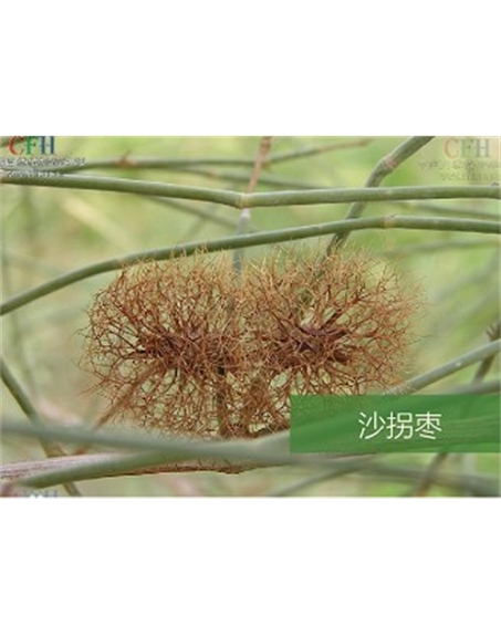 標(biāo)題：名貴樹種
瀏覽次數(shù)：1481
發(fā)表時(shí)間：2020-10-17