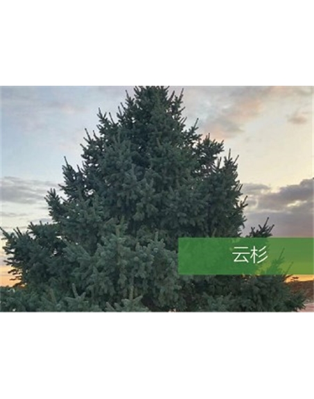 標(biāo)題：?jiǎn)坦嗄?瀏覽次數(shù)：2205
發(fā)表時(shí)間：2020-10-17