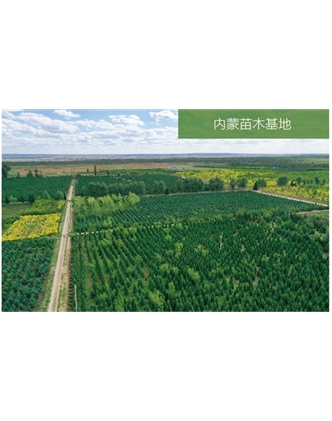 標題：苗木基地
瀏覽次數(shù)：2031
發(fā)表時間：2020-10-17