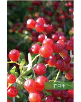 標(biāo)題：名貴樹(shù)種
瀏覽次數(shù)：1473
發(fā)表時(shí)間：2020-10-17