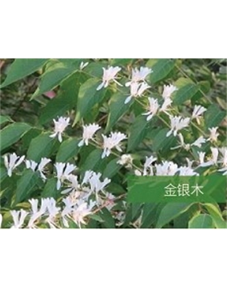 標(biāo)題：?jiǎn)坦嗄?瀏覽次數(shù)：1493
發(fā)表時(shí)間：2020-10-17