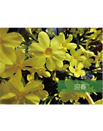 標(biāo)題：?jiǎn)坦嗄?瀏覽次數(shù)：1416
發(fā)表時(shí)間：2020-10-17