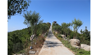 標(biāo)題：張家口太子山山體修復(fù)
瀏覽次數(shù)：18404
發(fā)表時間：2020-11-12